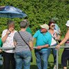 Aufstieg 2016